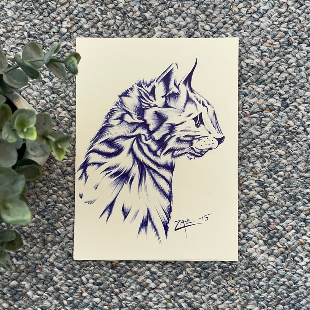 Cat pen illustration by zjsstudios on Instagram